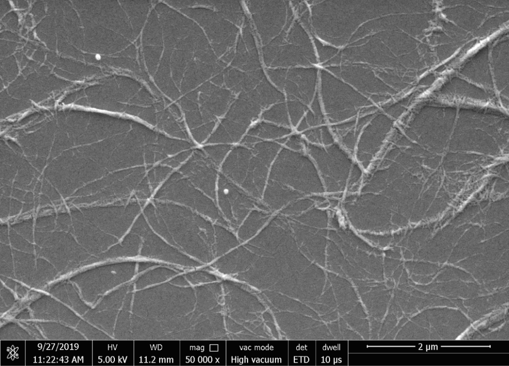 TEM Image of CNF-COM-Regular | CelluloseLab TEM Image of CNF-COM-Regular | CelluloseLab